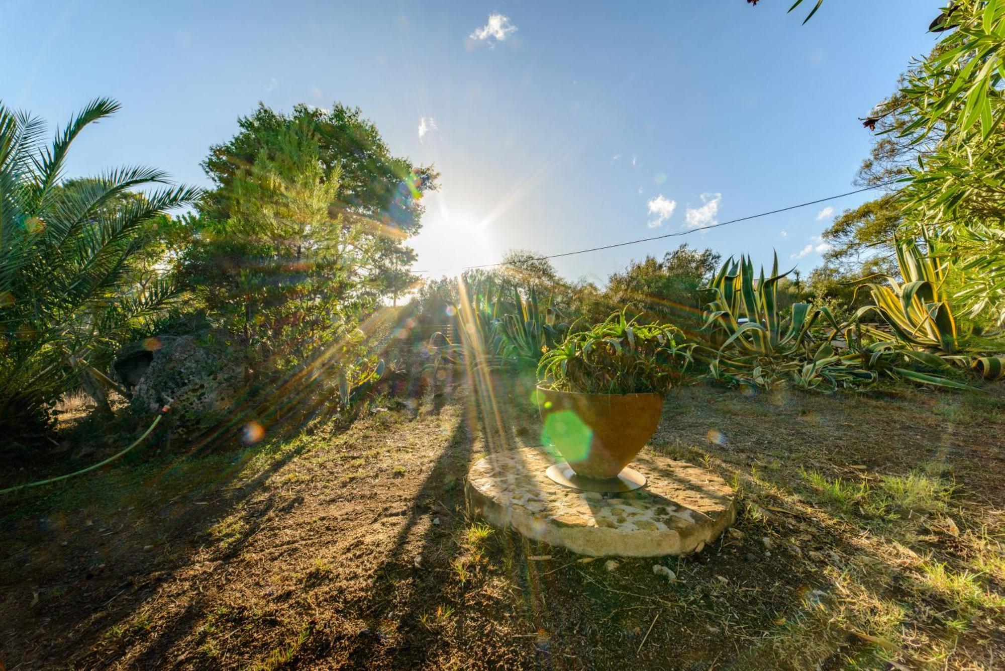 Maravilla Casa Vacanze Olbia Extérieur photo